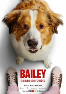 stream Bailey - Ein Hund kehrt zurück