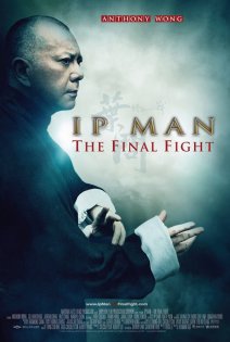 stream Ip Man - Final Fight