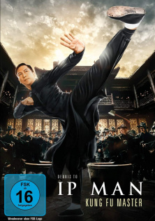 stream Ip Man: Kung Fu Master