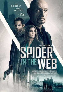 stream Spider in the Web