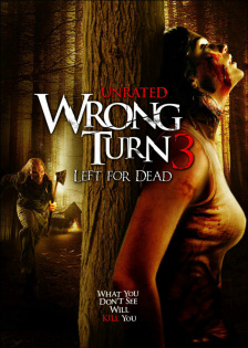 stream Wrong Turn 3: Left for Dead
