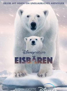 Eisbären