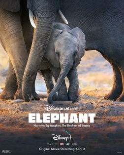 Elefanten