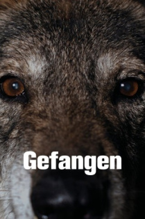 Gefangen