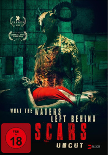 What the Waters Left Behind: Scars