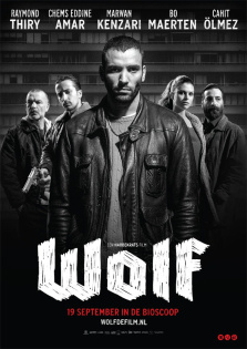 Wolf